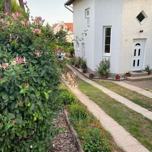 Eszter Apartman Paloznak  2