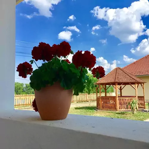 Hosszú-tó Vendégház Drávacsepely 005 kép