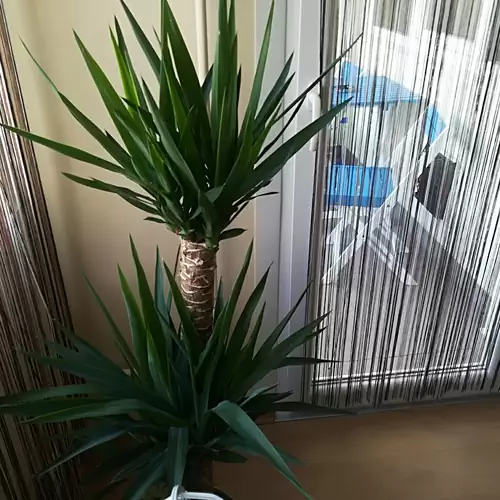 Smaragd Apartman Eger 012 kép