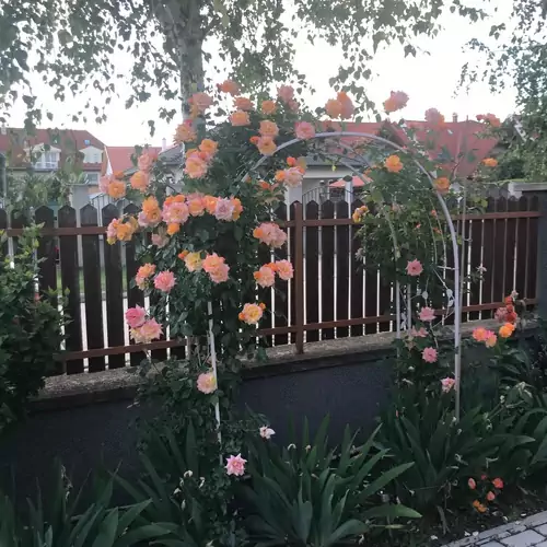 Magnólia Apartmanház Balatonfüred 009 kép