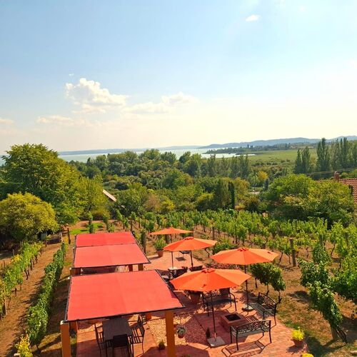 Panor&aacute;ma &eacute;s n&eacute;zet a kertre az emeleti teraszr&oacute;l.

Panorama and view of the garden from the upstairs terrace.
