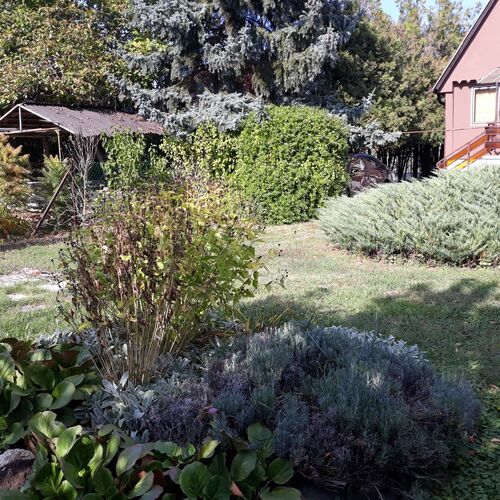 Pedro-lak Apartman Balatonkenese  3