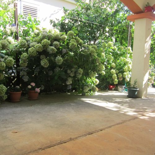 Apartman Manuella Bibinje  3