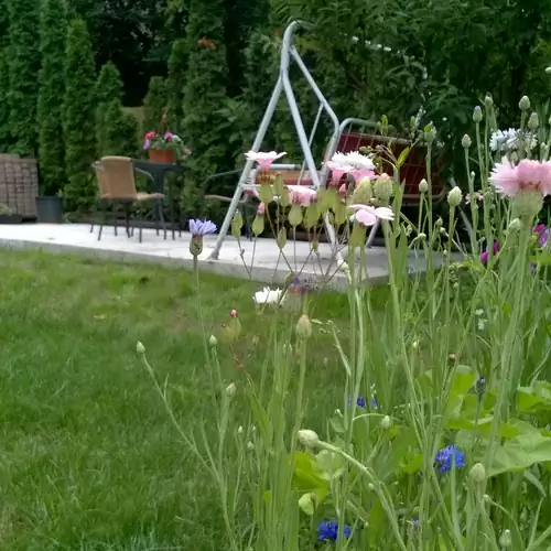 Zoé Apartman Siófok 006 kép