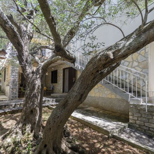 Apartment Maslina Vodice  3