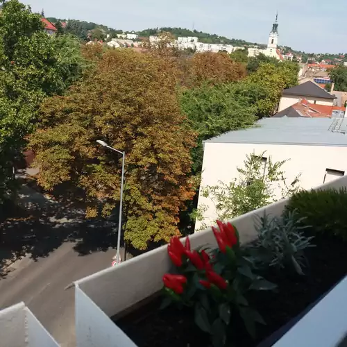 Málnás Macska Apartman Szekszárd 005 kép