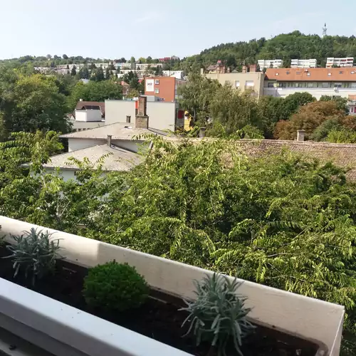 Málnás Macska Apartman Szekszárd 006 kép