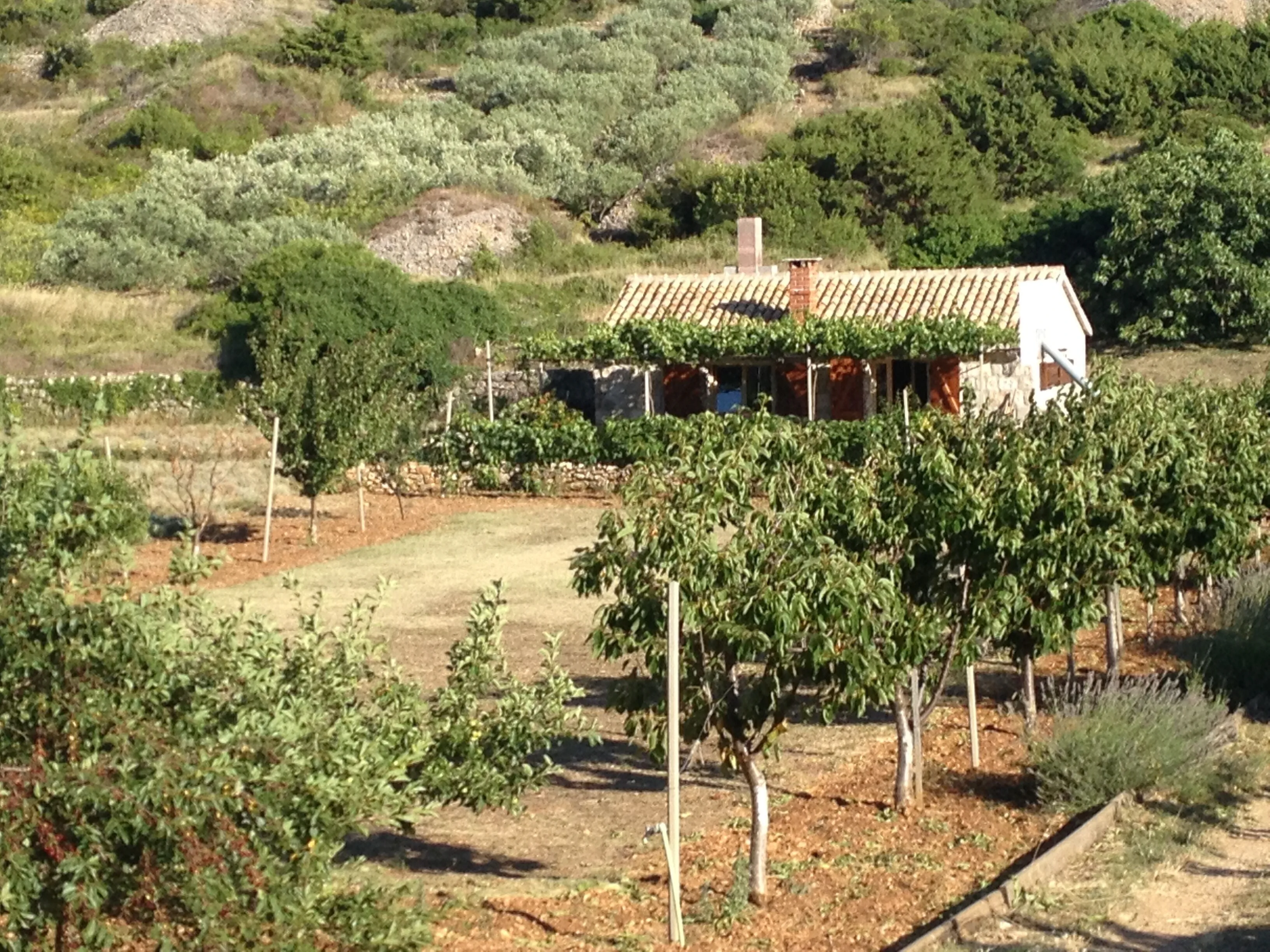 Secluded House With A Parking Space Podhumlje, Vis - 13984 Podhumlje