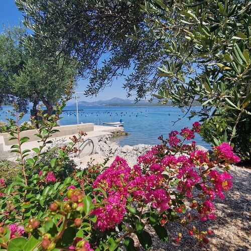 Apartmanok A Tenger Mellett Zuronja, Peljesac - 13202 Žuronja  3