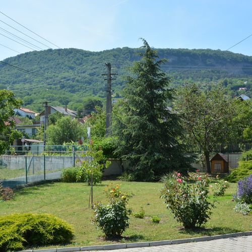 Bujtor Apartman Badacsony  4