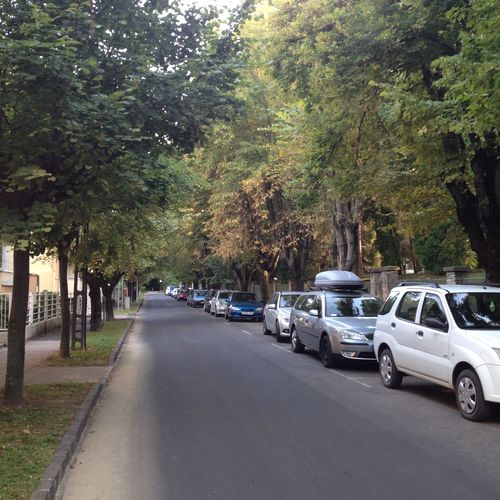 Kőnig Apartman Hévíz  4