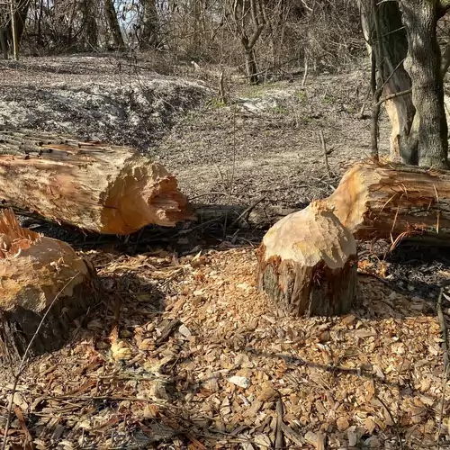 Matyi Bácsi Vendégház Keselyősfapuszta 037 kép