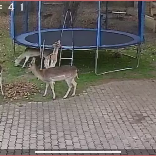 Matyi Bácsi Vendégház Keselyősfapuszta 041 kép