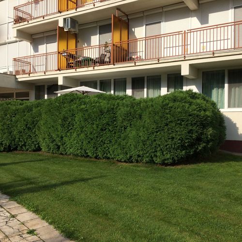 Jázmin Apartman Zamárdi  2