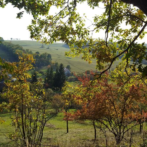 A szomszédos domboldalról