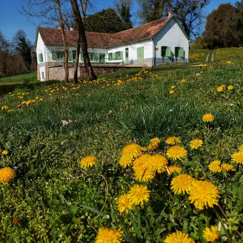 Maison BOGArT Vendégház Alsóbogát 019 kép
