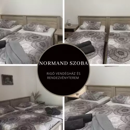 Rigó Vendégház és Rendezvényterem Gyopárosfürdő 004 kép