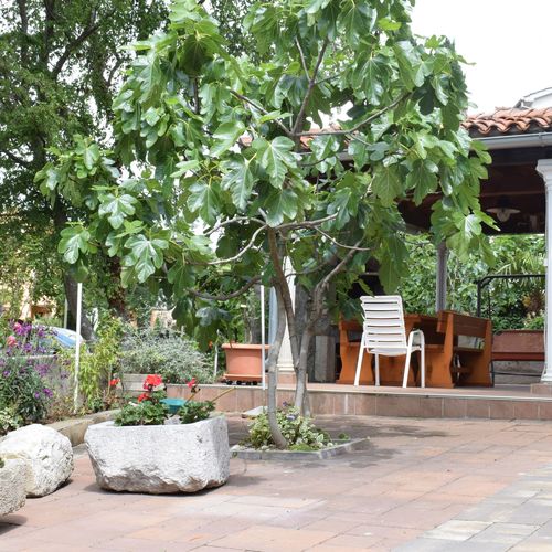 Apartment Green Oasis 1 Malinska  4