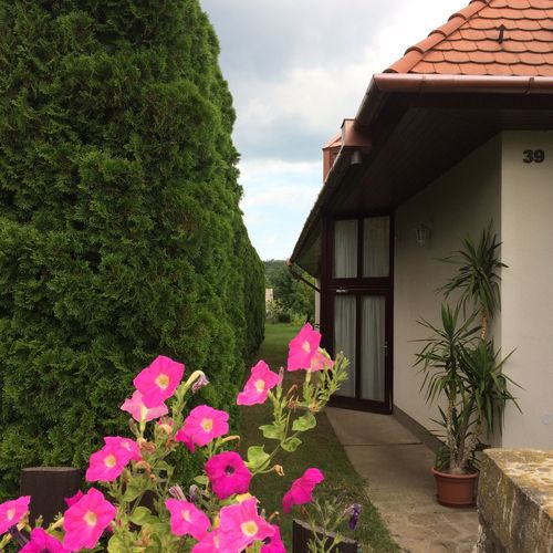 Márta GuestHouse Gyenesdiás  2