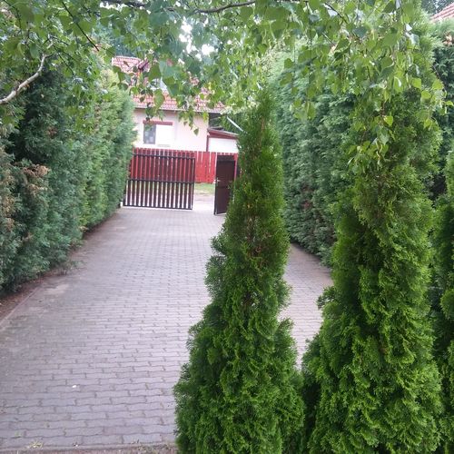 INGYENES PARKOLÁS