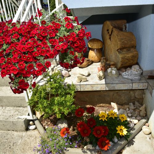 Apartment Blumen Oase Malinska  3