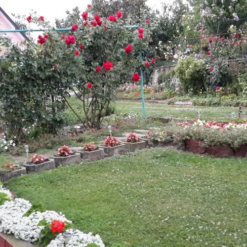 Erika Apartman Badacsony  3