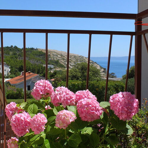 Apartmanok Parkolóhellyel Krvavica, Makarska - 6749 Krvavica  4