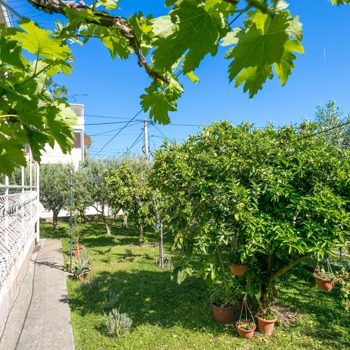 Apartmanok Parkolóhellyel Trogir - 9209