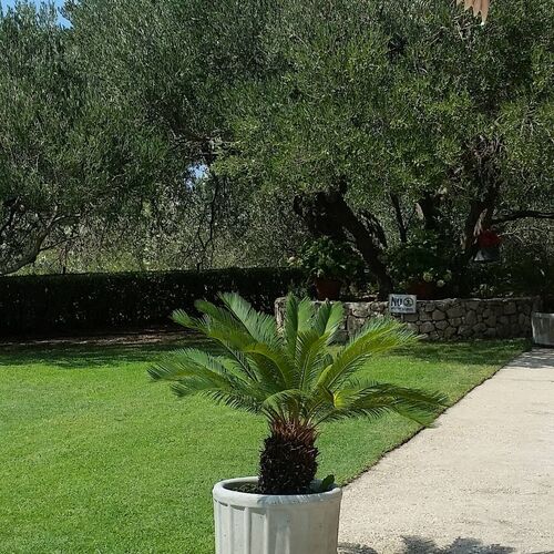 Apartmanok Parkolóhellyel Makarska - 6768  3
