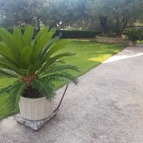 Apartmanok Parkolóhellyel Makarska - 6768