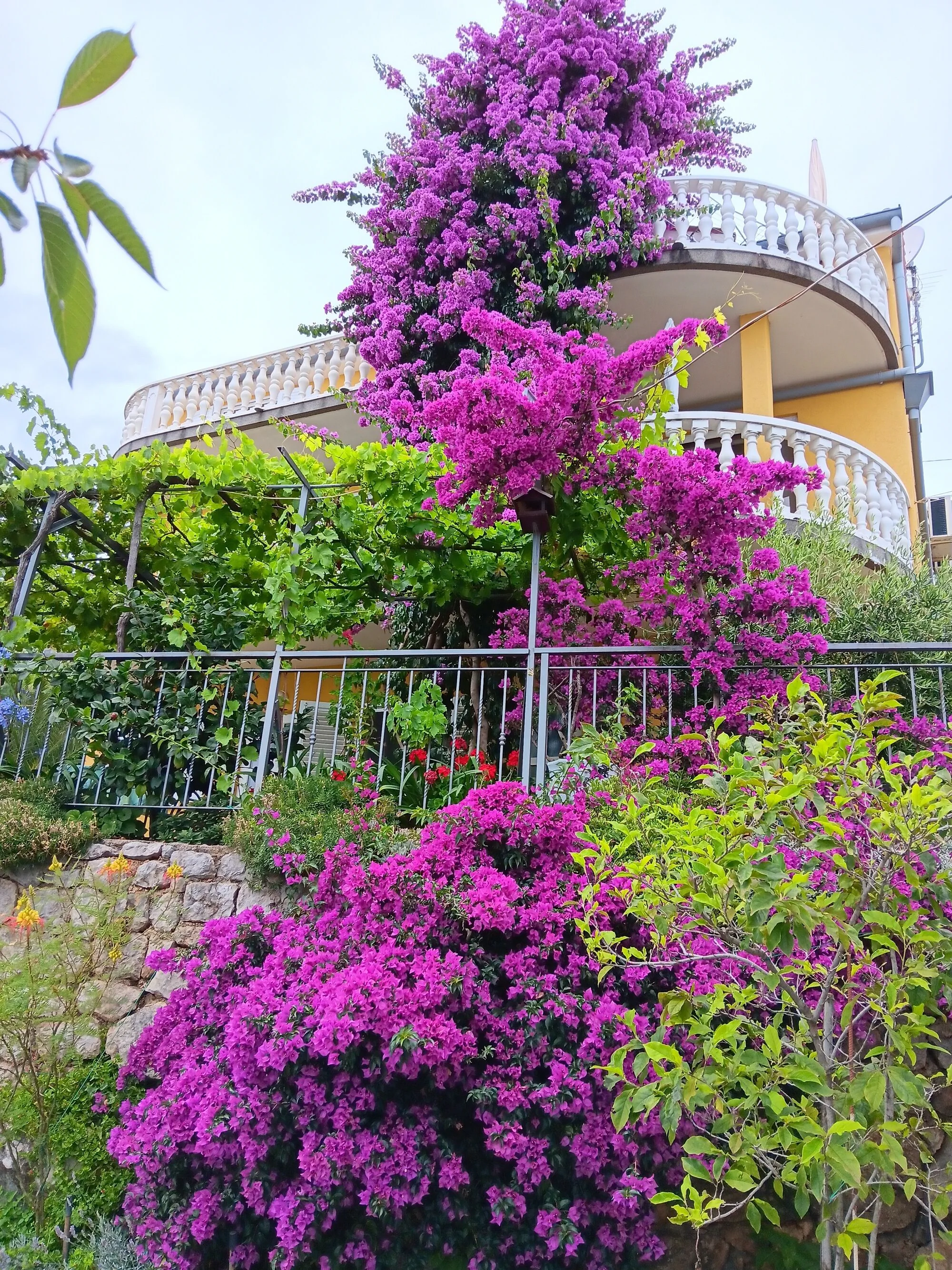 Apartments With Parking Space Medveja, Opatija - 7721 Medveja
