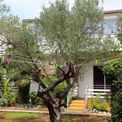 Családi Apartmanok A Tenger Mellett Vodice - 928  2