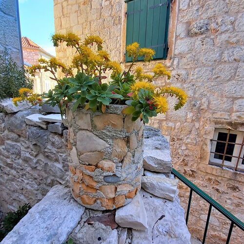 Apartmanok A Tenger Mellett Supetar, Brac - 5656 Supetar  3