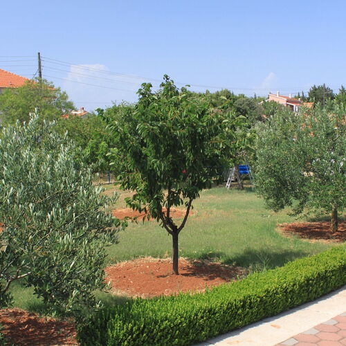 Apartmanok és Szobák Parkolóhellyel Susica, Ugljan - 8265 Sušica  2