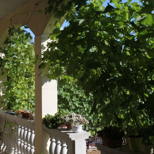 Apartmanok Parkolóhellyel Makarska - 6792  3