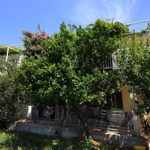 Apartmanok A Tenger Mellett Medencével Viganj, Peljesac - 260 Viganj  3