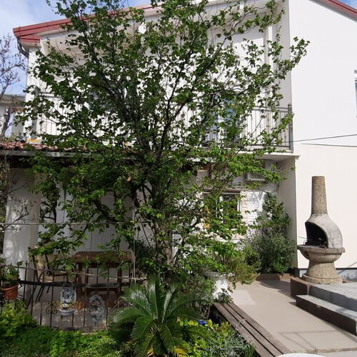 Apartmanok Parkolóhellyel Starigrad, Paklenica - 11848 Starigrad  2