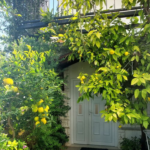 Apartmanok Parkolóhellyel Starigrad, Paklenica - 11848 Starigrad  3