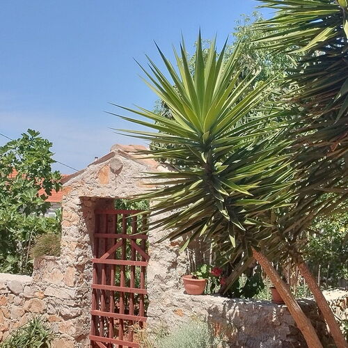 Apartmanok Parkolóhellyel Veli Losinj, Losinj - 11495 Veli Lošinj  3