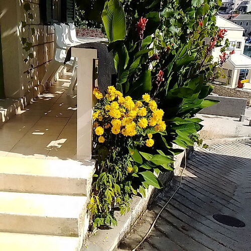 Apartmanok A Tenger Mellett Povlja, Brac - 712 Povlja  2