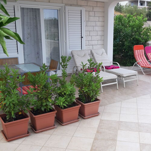Apartmanok A Tenger Mellett Necujam, Solta - 2089 Nečujam  4
