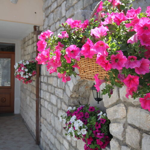 Apartmanok A Tenger Mellett Osor, Losinj - 8088 Osor  3