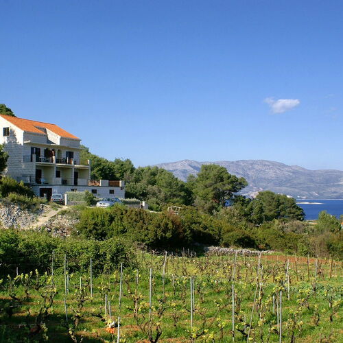 Apartmanok Parkolóhellyel Lumbarda, Korcula - 4418 Lumbarda  3