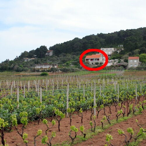 Apartmanok Parkolóhellyel Lumbarda, Korcula - 4352 Lumbarda  4