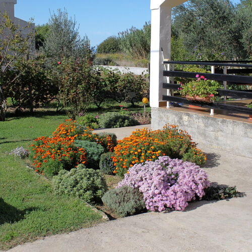 Apartmanok Parkolóhellyel Privlaka, Zadar - 667 Privlaka  3