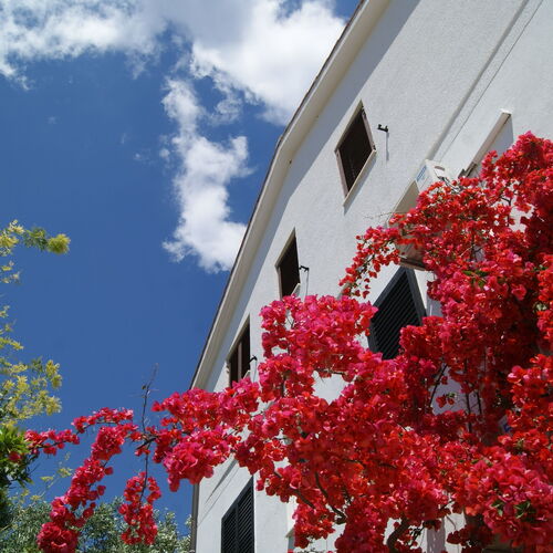 Apartmanok A Tenger Mellett Zavala, Hvar - 553 Zavala  4