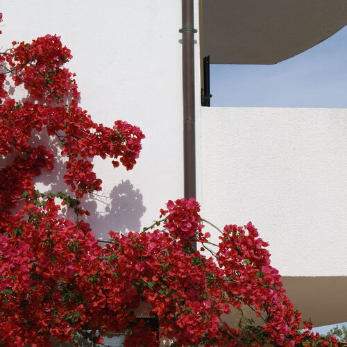 Apartmanok A Tenger Mellett Zavala, Hvar - 553 Zavala  3