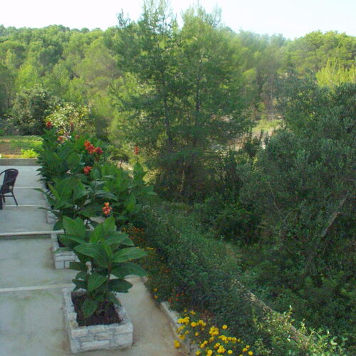 Apartmanok Parkolóhellyel Sutivan, Brac - 747 Sutivan  3