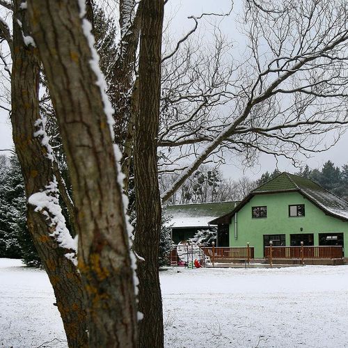 A Fogadó az erdő felől