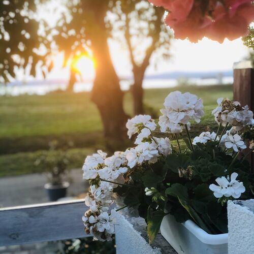 Sirály Köz Nyaraló Balatonvilágos  2